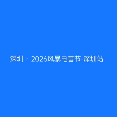 深圳 · 2026风暴电音节-深圳站